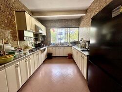 Mimosa Park (D28), Condominium #482543711
